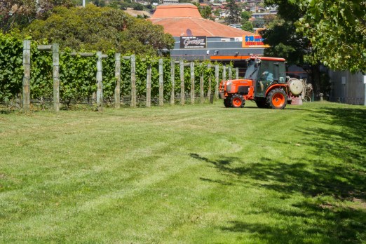 Tractor, farming, vinyard, MONA (Tom Wakefield)