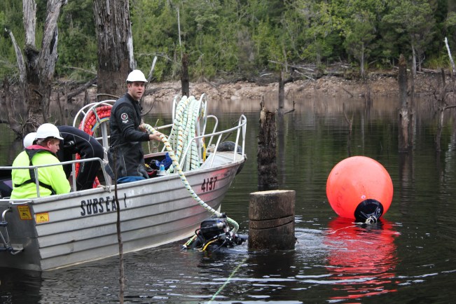 Utas researchers assist in building the case for underwater logging