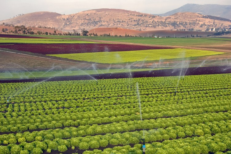 Captured by Simon Desalis - The $90 million irrigation scheme has been earmarked for five proposed tranche-2 irrigation schemes across Tasmania. 