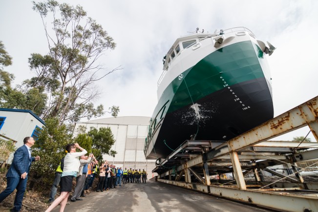 Elroi - Photo by Gerald Verdouw