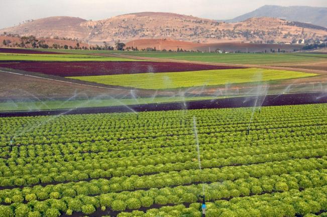 Tasmanian Irrigation Scheme by Simon DeSalis